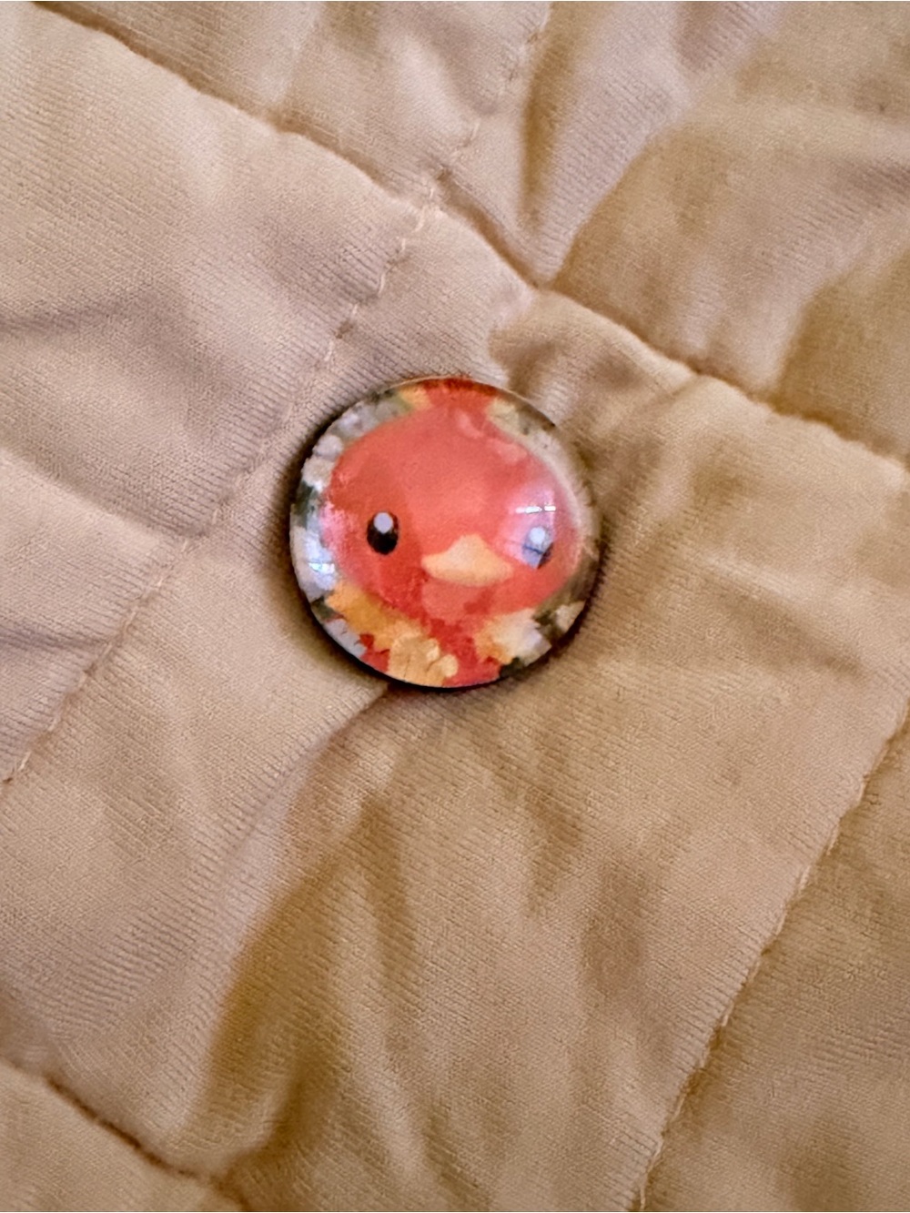 Pokemon Red Bird Decorative Pet Pin